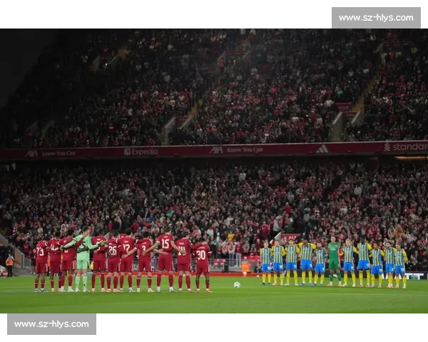 法国强强对话比利时豪门碰撞引爆欧洲足坛焦点之战巅峰生死较量夜晚